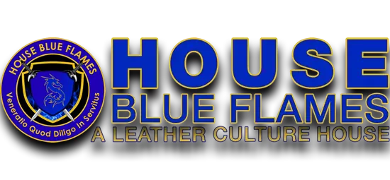House Blue Flames
